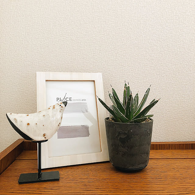 オブジェ ACTUSのおすすめ商品とおしゃれな実例 ｜ RoomClip（ルーム