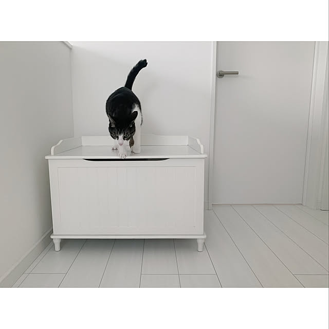 キャットトイレクローゼットのおすすめ商品とおしゃれな実例