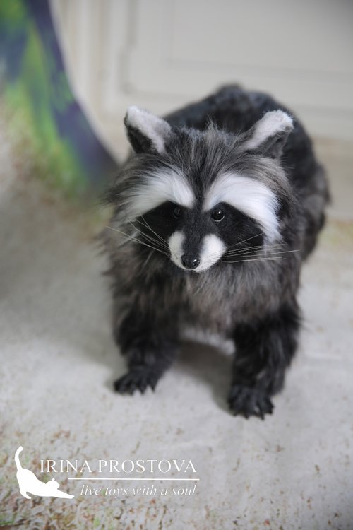 送料無料】ロシア アライグマのリアルなおもちゃ。ぬいぐるみ。ポーズ