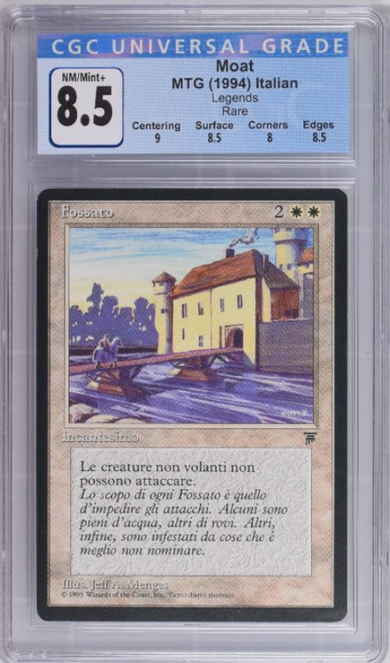 cgcitalianmoat85__42971.