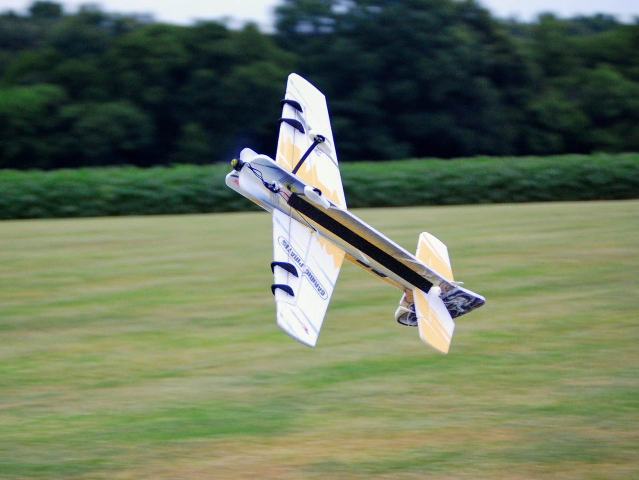 即日発送ラジコン飛行機電動 YAK55 3D モーターその他付属付[未組立