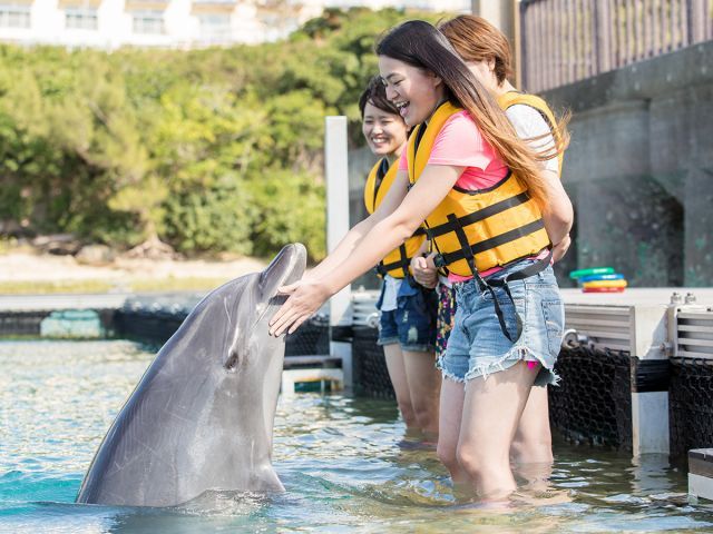 イルカふれあい体験 0歳から参加OK！イルカと遊べるドルフィンエン
