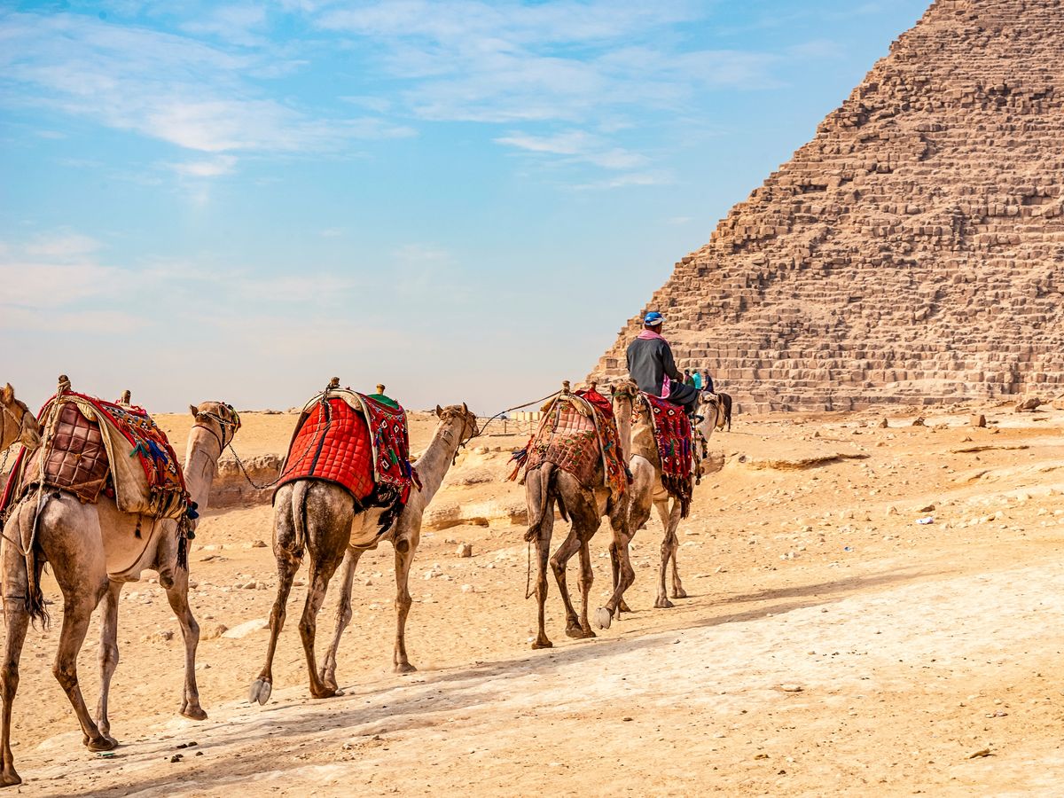 ラクダ乗り体験 | エジプト 旅行の観光・オプショナルツアー予約