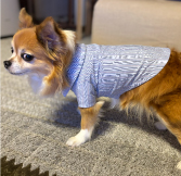 犬服教室セレブドッグの通信講座 / 犬裾尺 Sサイズ 小型犬向けの犬服