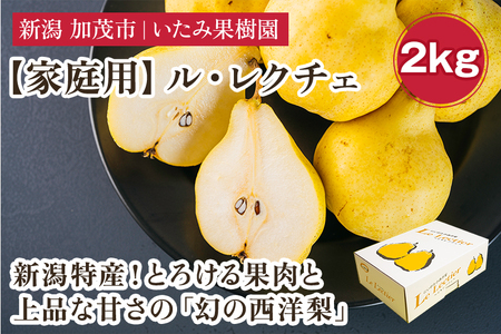 2025年先行予約】新潟特産 幻の洋梨ル・レクチェ 家庭用 約2kg（5〜7玉