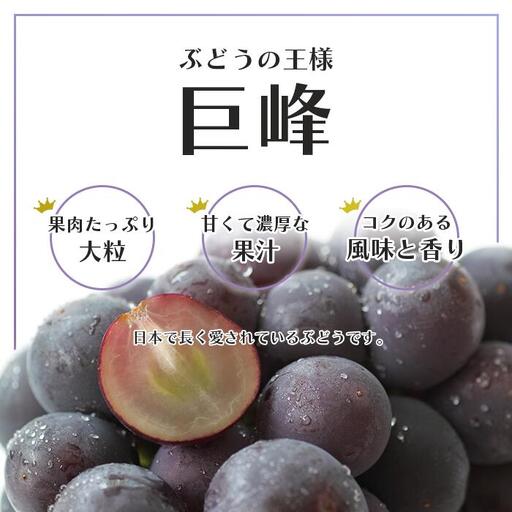 2026年発送☆先行予約】 巨峰 2～3房 約1.2kg 154-026-26y | フルーツ