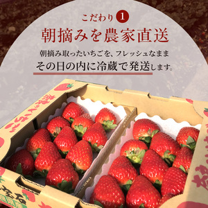 いちご 奈良県産 古都華 約1080g 270g×4パック 今西さん家の奈良いちご