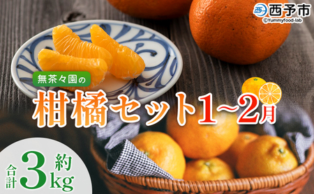 無茶々園の柑橘セット 約3kg（1～2月）＞ フルーツ 果物 くだもの 伊予