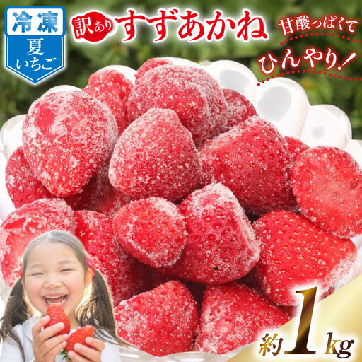 訳あり 冷凍 夏いちご すずあかね 約1kg [水山養殖場 宮城県 気仙沼市