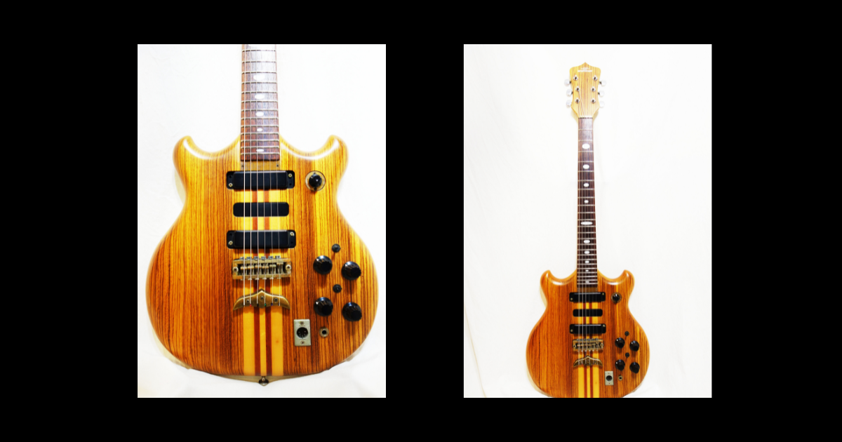 フェルビック No.54 Fernandes FAG-170 - CHAP レア楽器 画像倉庫