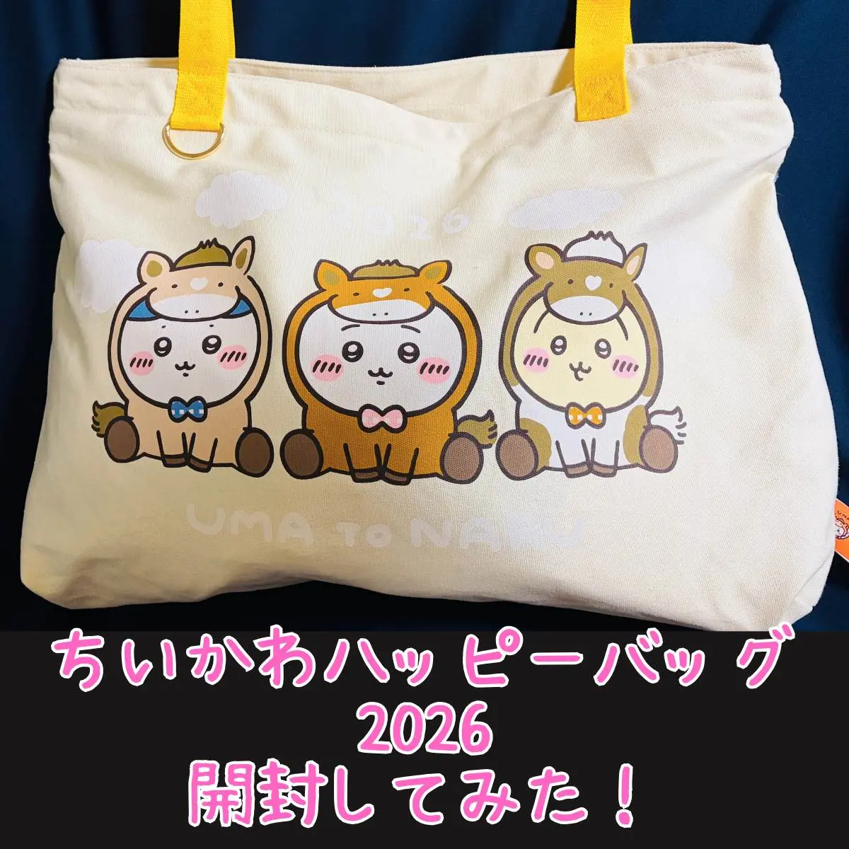 0012210001ha.jpg.webp