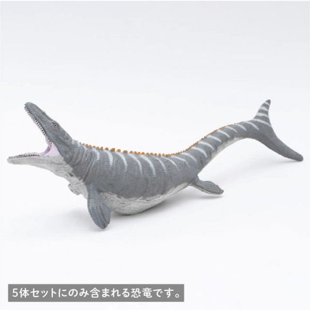 ビニールモデル人気恐竜セット - チャイルドショップ ｜チャイルド社
