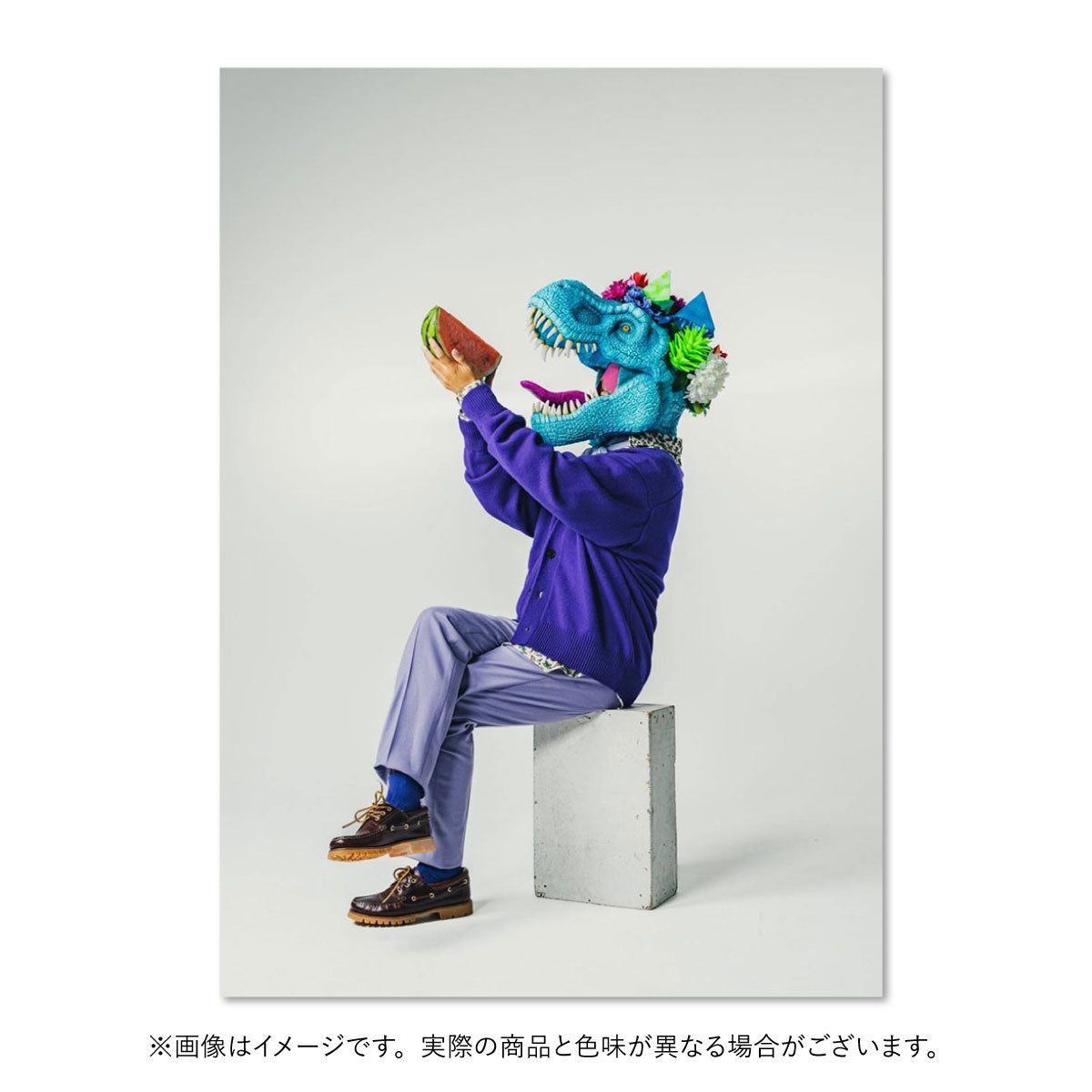 BAND SAURUS – CHIMNEY TOWN ONLINE STORE