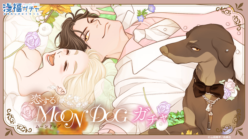 恋するMOON DOG ガチャ | 【漫福ガチャ】白泉社公式WEBくじ | 人気