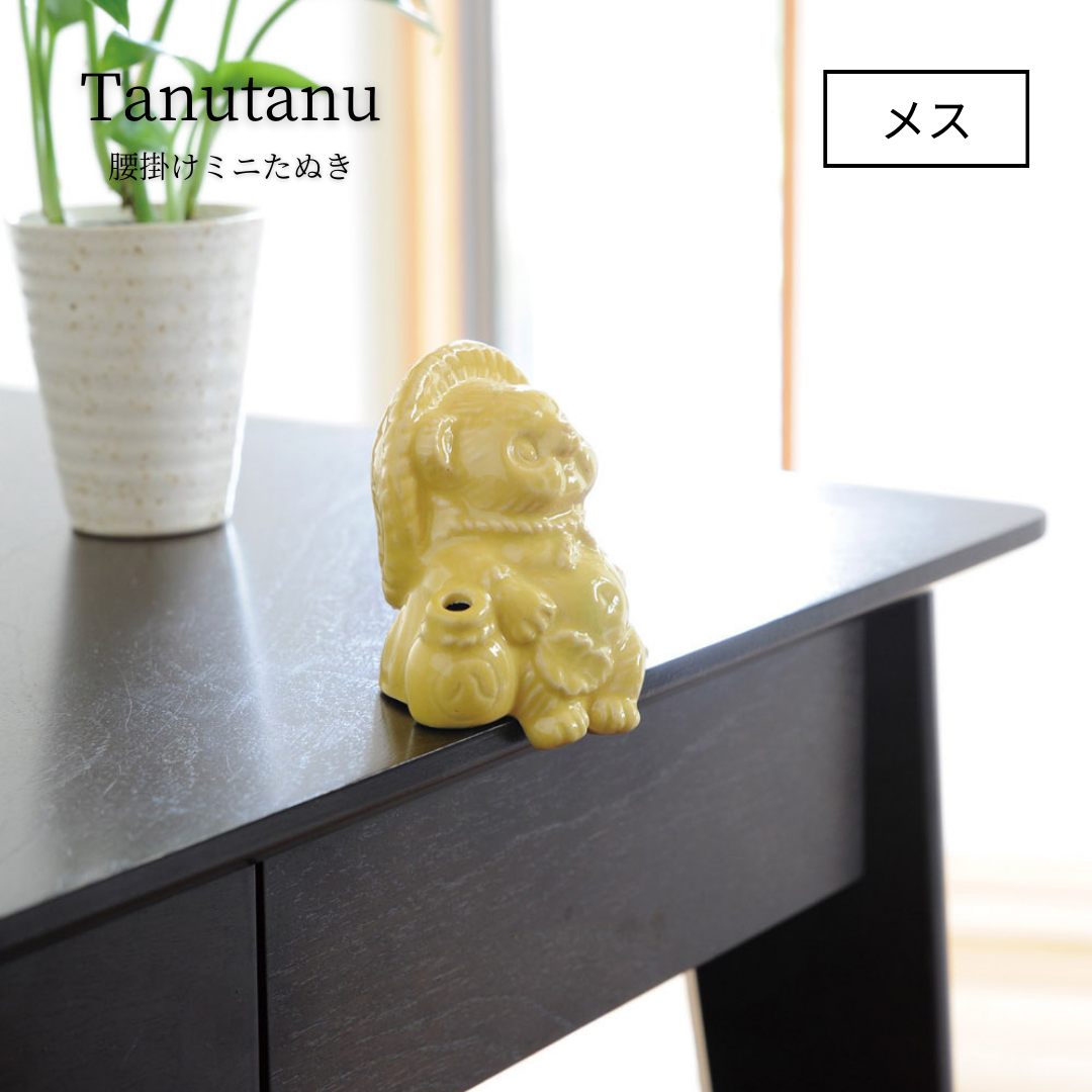 ヤマ庄陶器】Tanutanu ［メス］（ブルー・イエロー・ピンク・グリーン
