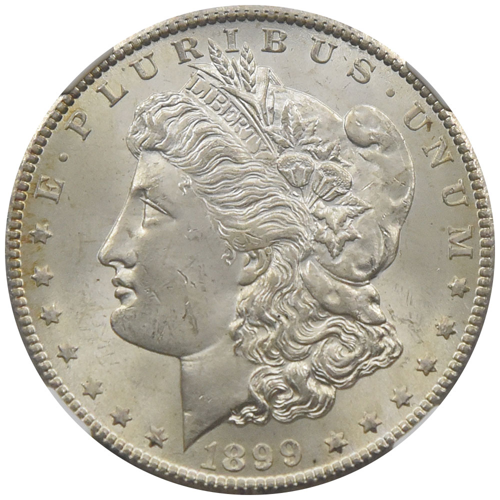 アメリカ 1899 1ドル 銀貨 NGC MS63 イーグル 3941279006