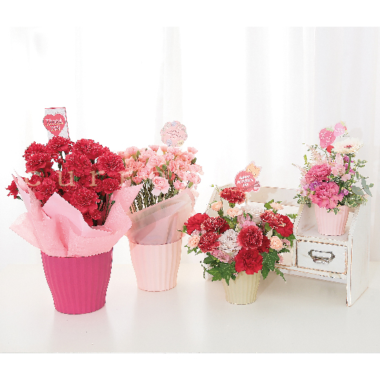 陶器・プラスチック花器 | 株式会社カレント - 花器・花材・ラッピング