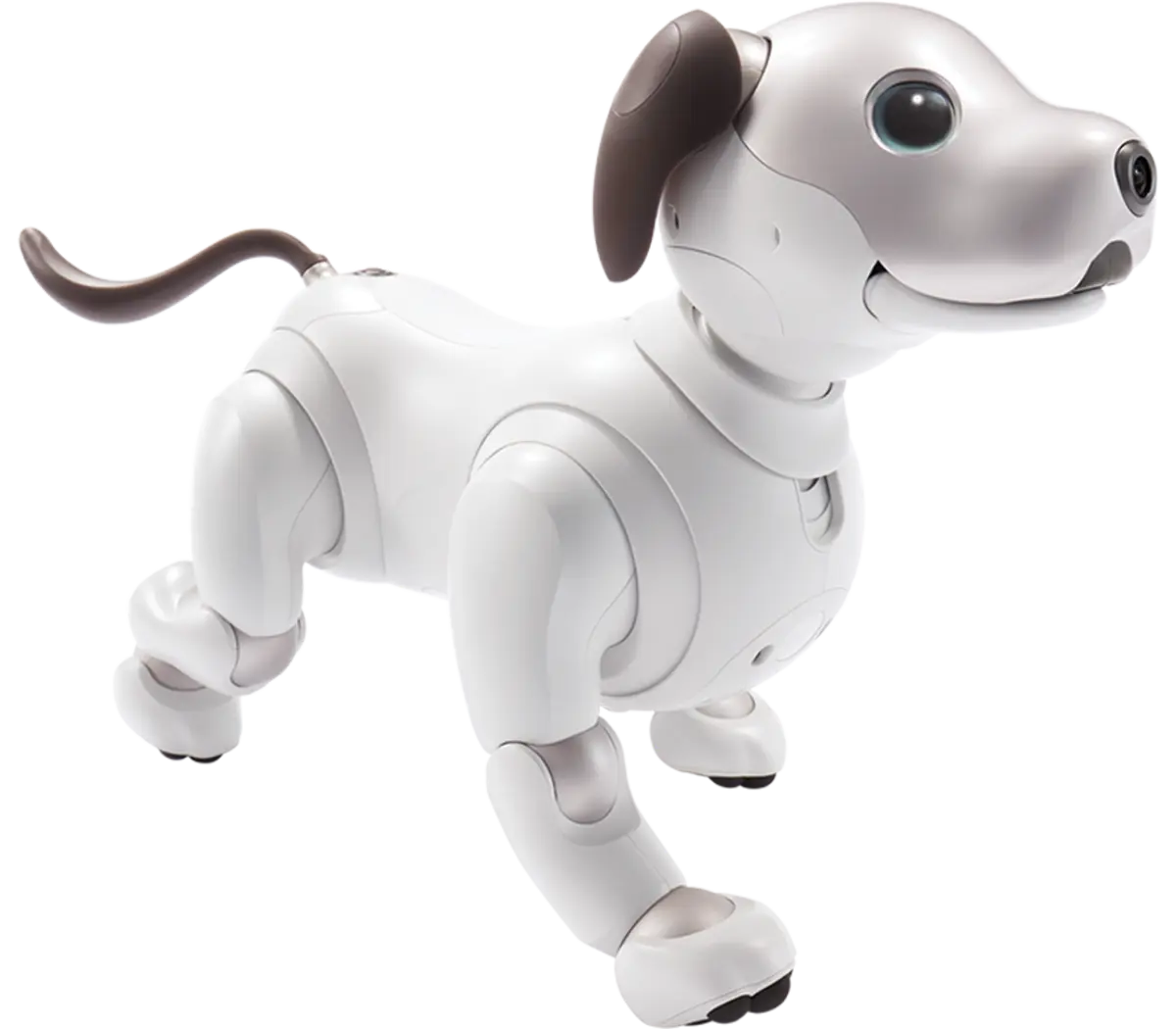 Sony aibo Companion Robot | ERS1000