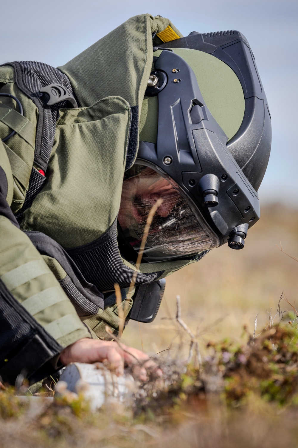 DVIDS - News - U.S. Navy EOD Joins 17 Allied Nations for Northern