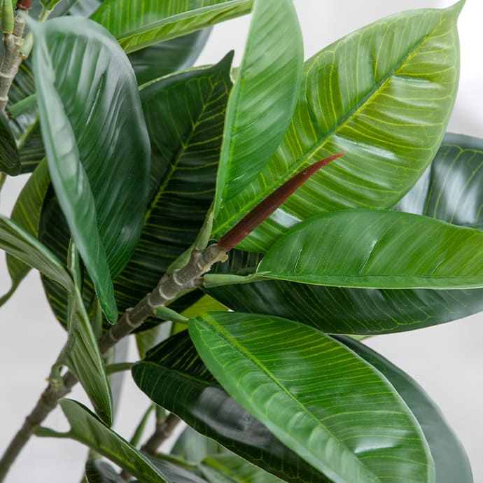 g162001]【高さ90cm】Nature 光触媒人工観葉植物 パキラ 観葉植物