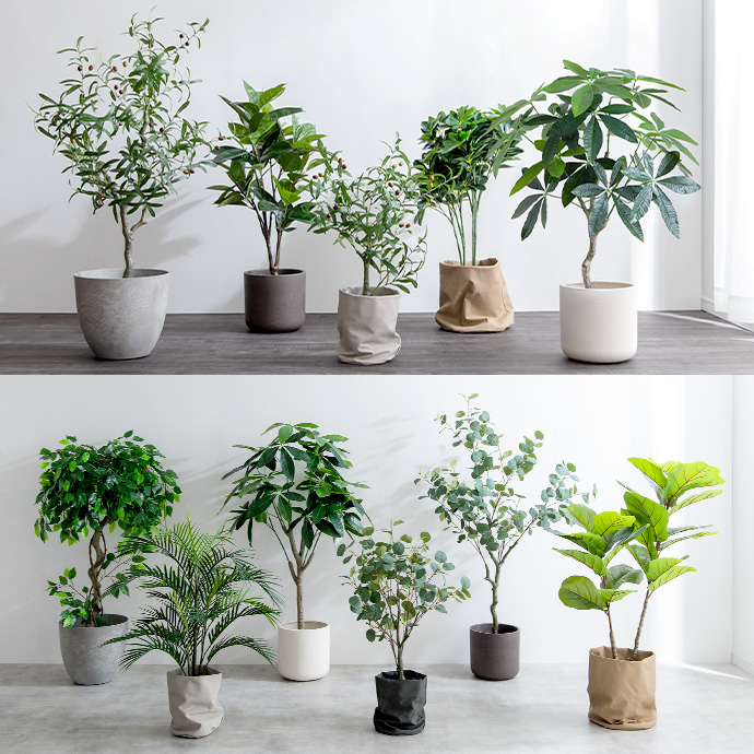 g162010]【高さ85cm】Nature 光触媒人工観葉植物 ユーカリ 観葉植物