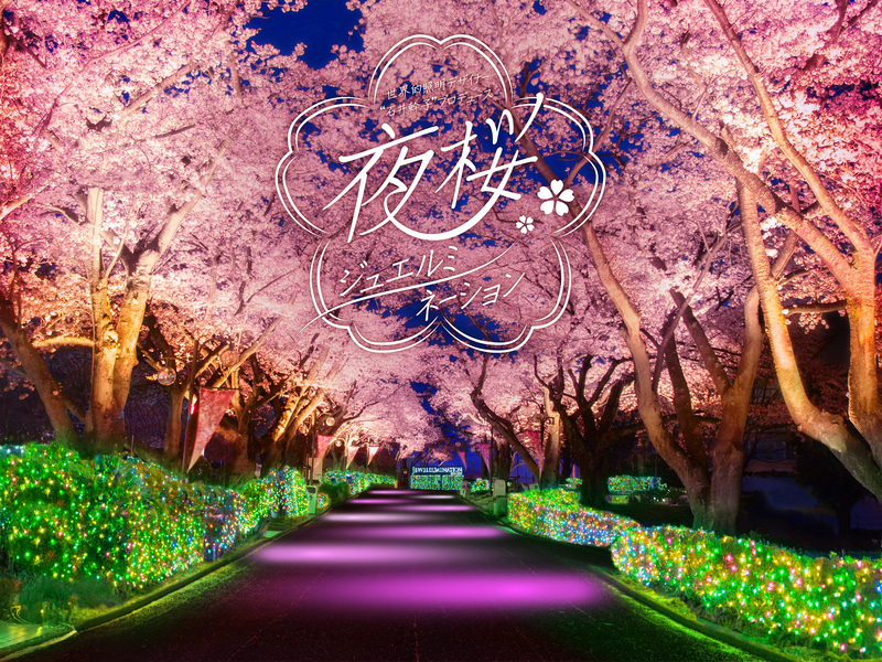 よみうりランドで夜桜ジュエルミネーション開催 桜色の新観覧車と180m
