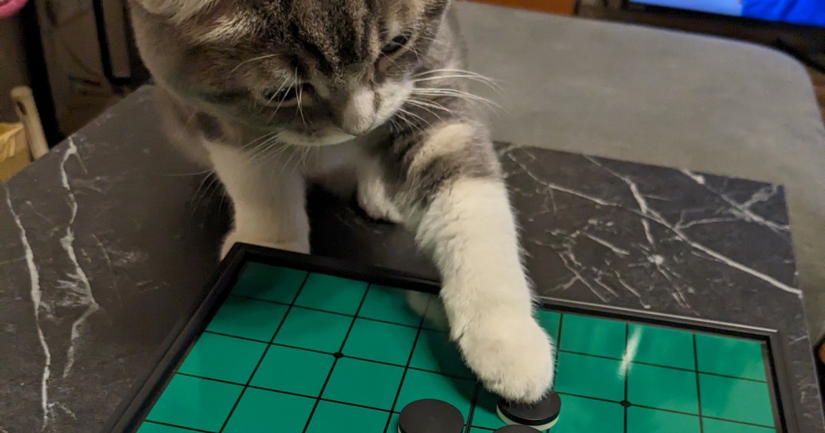 そこには置けません」オセロの石で遊び始めた猫ちゃん、いきなり隅を