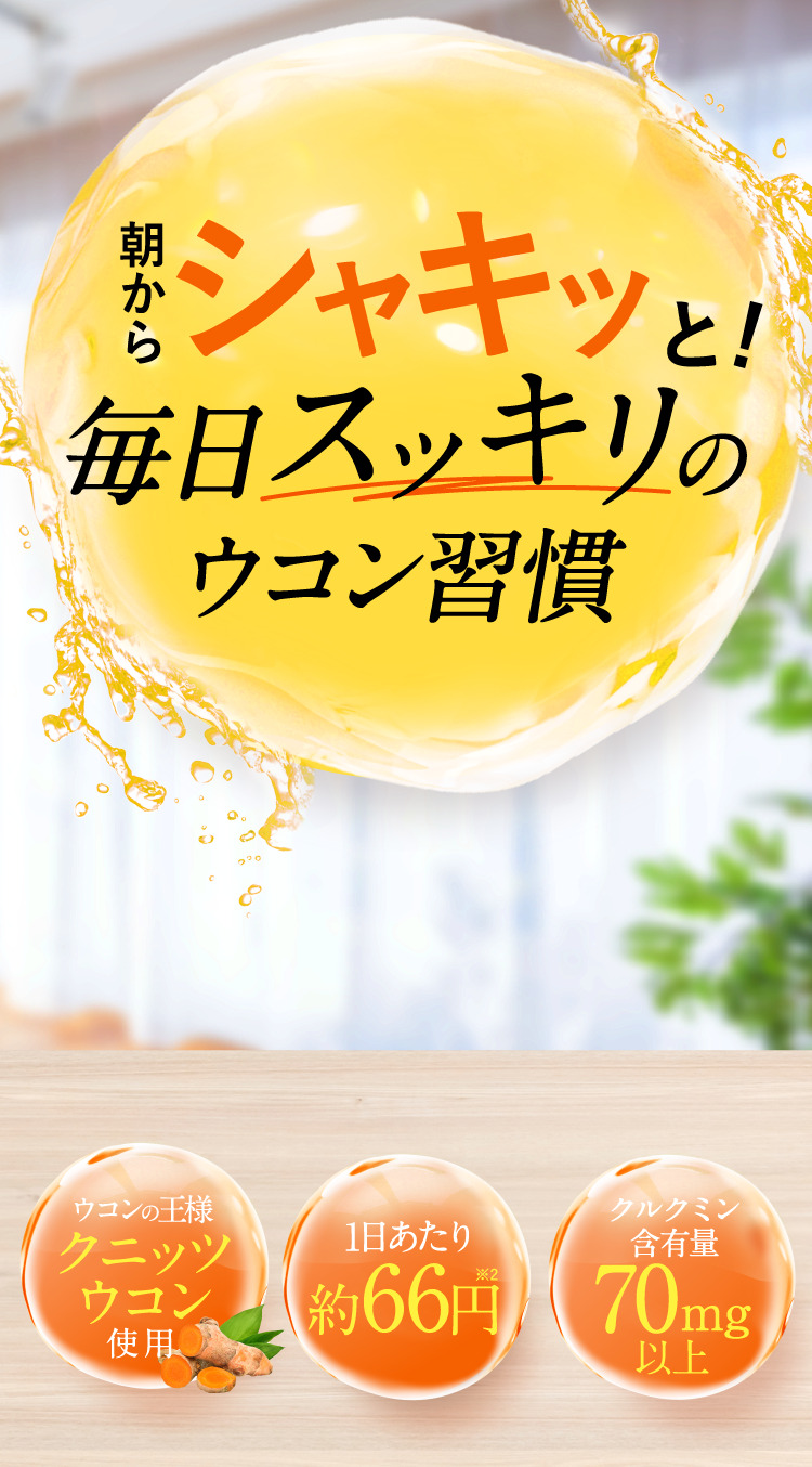 公式】ゲンキウコン - すこやか工房のゲンキウコン