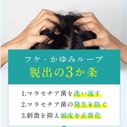 リピーター限定500円OFF】でかソン（KADASONスカルプトリートメント詰