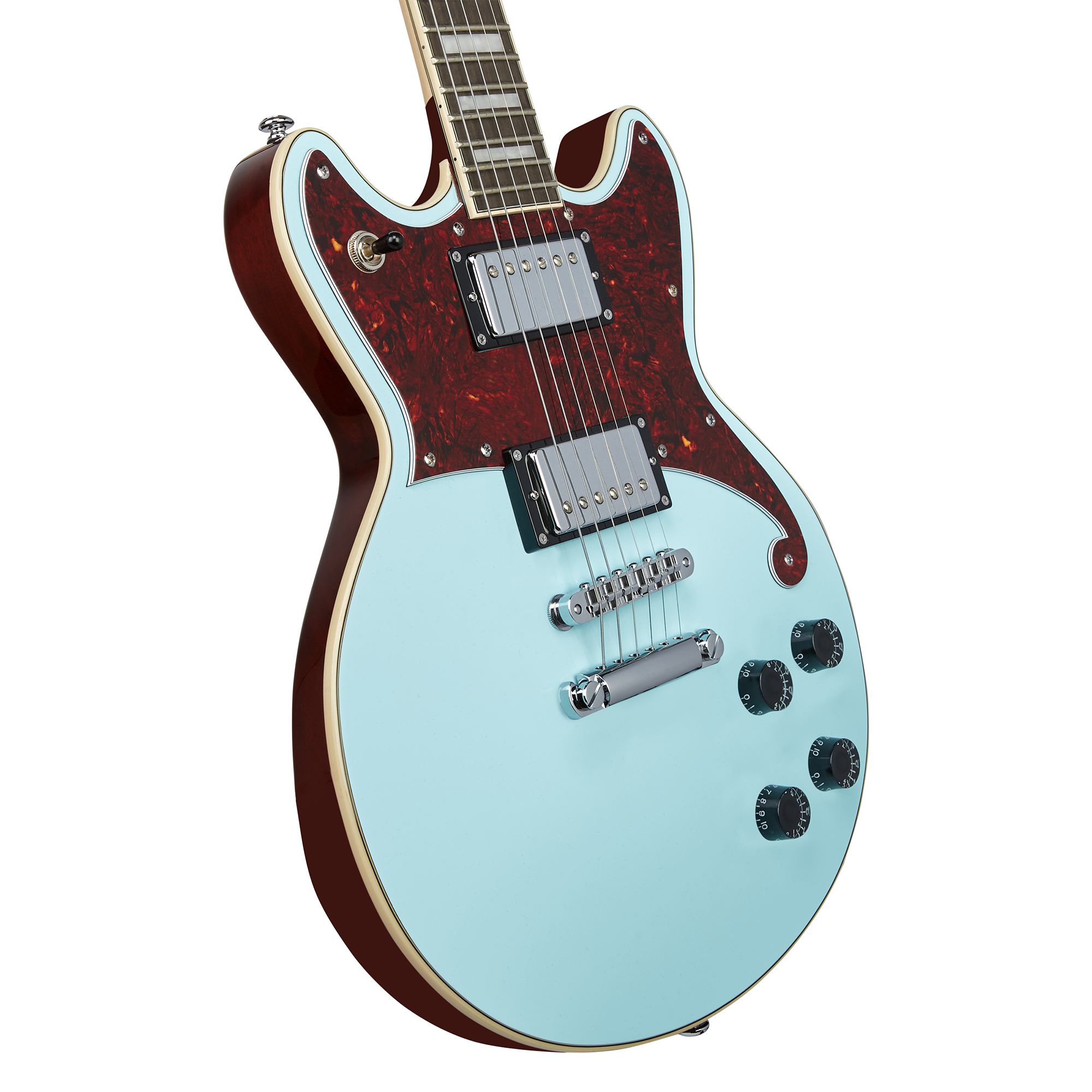 Premier Brighton - D'Angelico Guitars