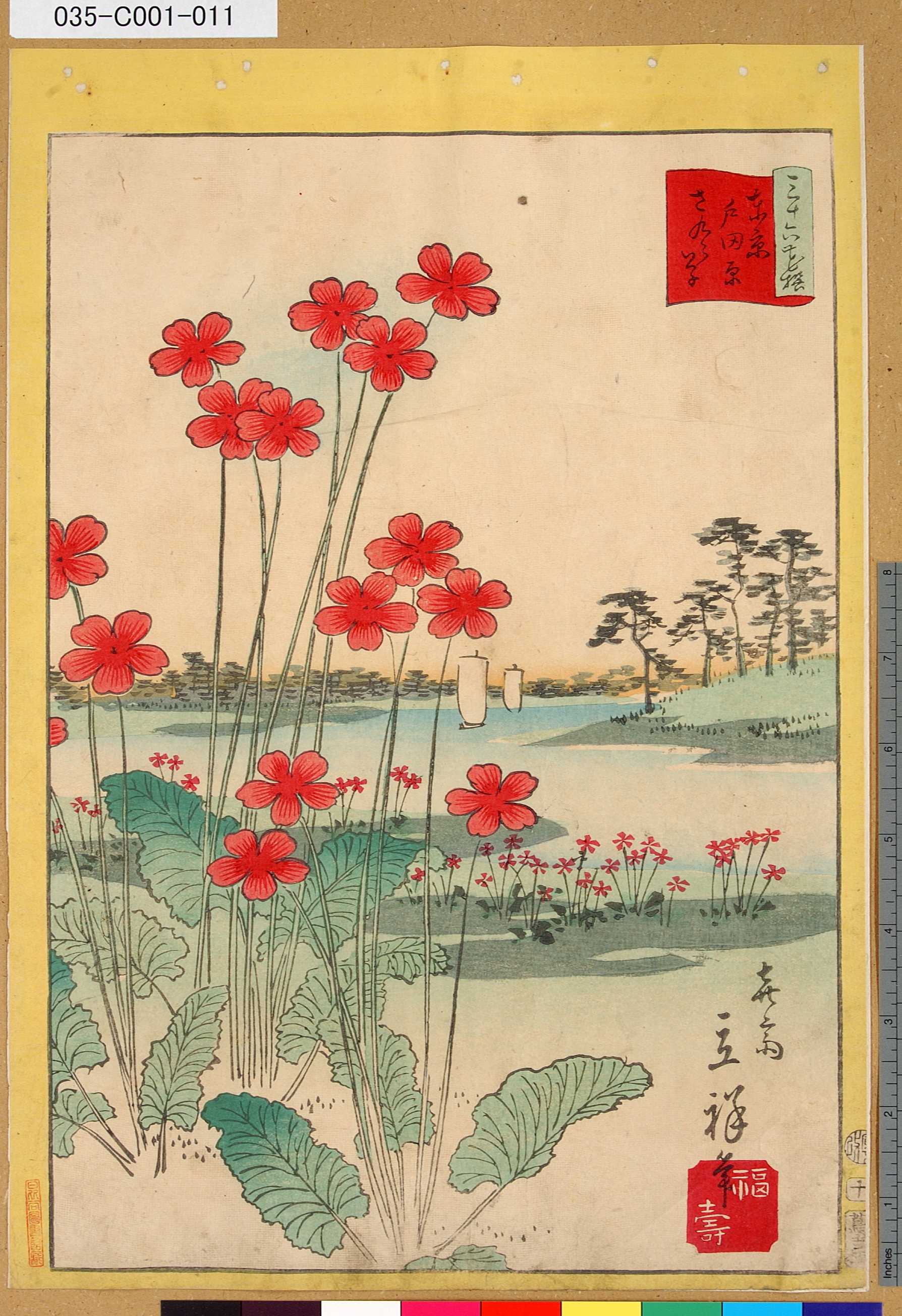二歌川広重による浮世絵「「三十六花撰」「東京戸田原さくら草」 「十」」