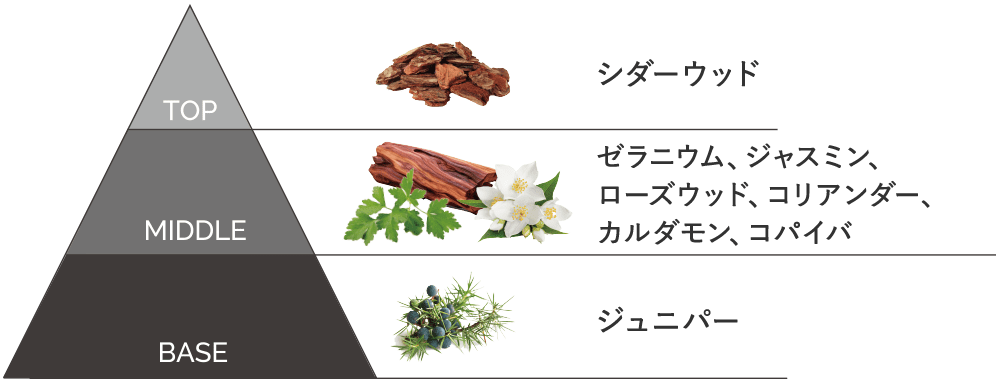 スキンレギメン リッチ クリーム LX | comfort zone公式オンラインショップ