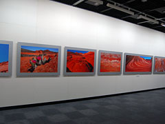 写真展リアルタイムレポート】岩橋崇至写真展「ロックガーデン」