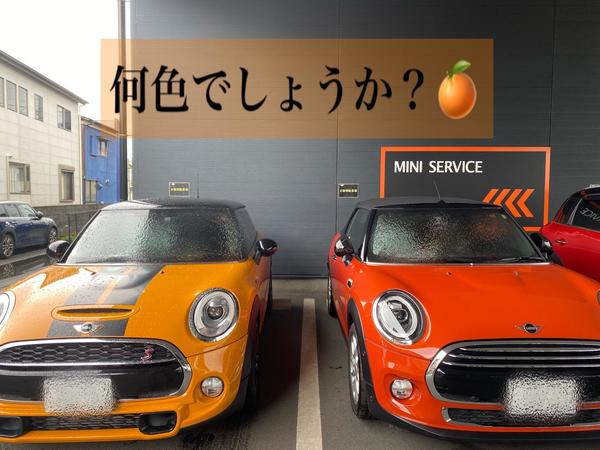 MINI NUMAZU】オレンジ色 - MINI沼津／静岡／浜松／NEXT 浜松西／厚木