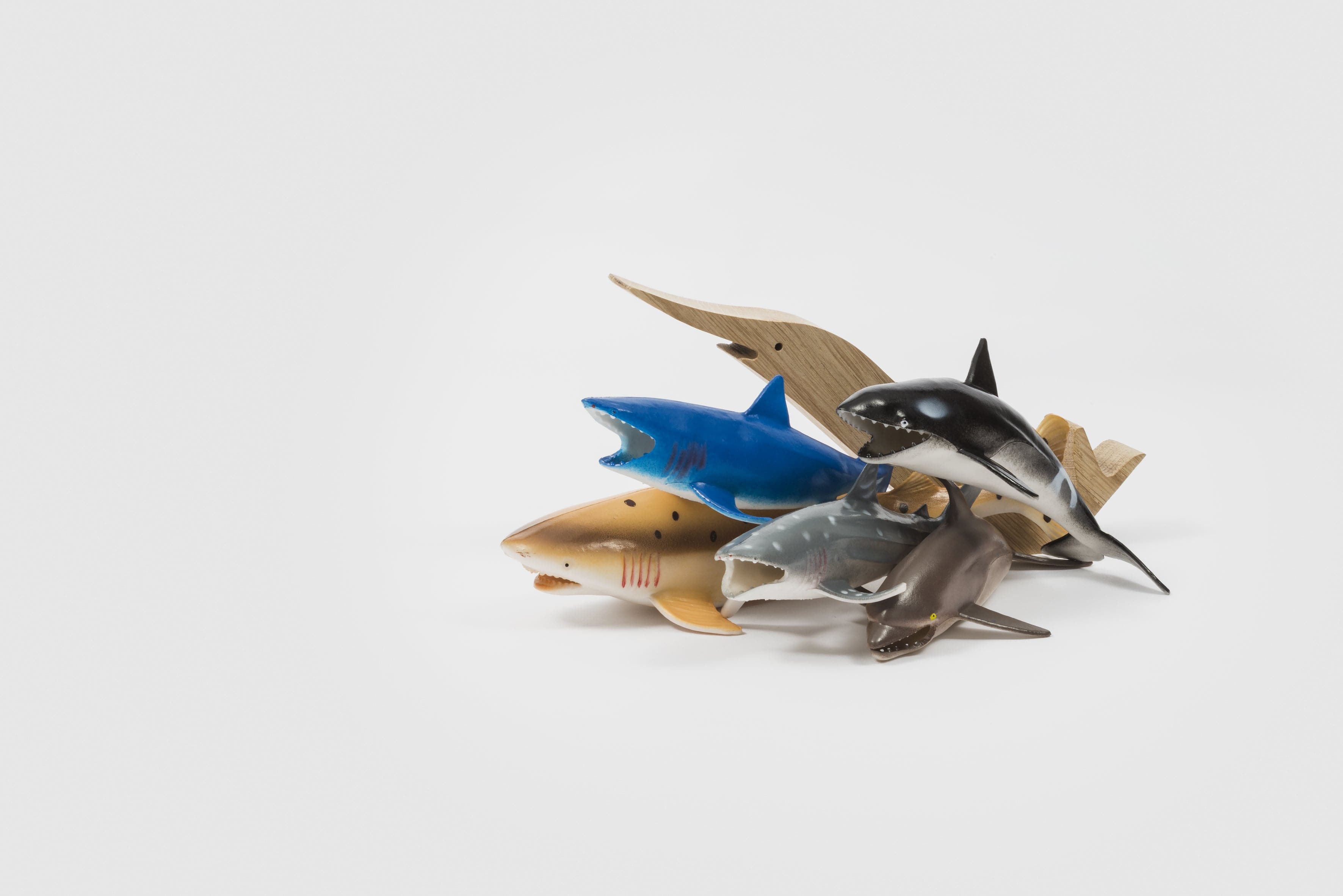 Wooden Puzzle 16 PESCI by Enzo Mari - Limited Edition. Shop on