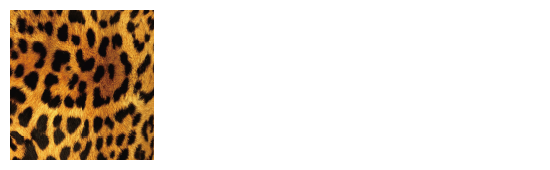 個別生写真5枚セット 2022.October 原かれん(TeamM) - NMB48 OFFICIAL