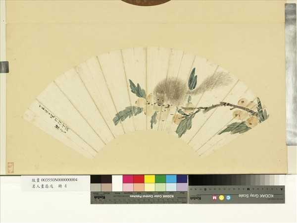 故宮博物院の名蹟 名画38明清花鳥扇面(一) 専用額付 二玄社 故宮博物院