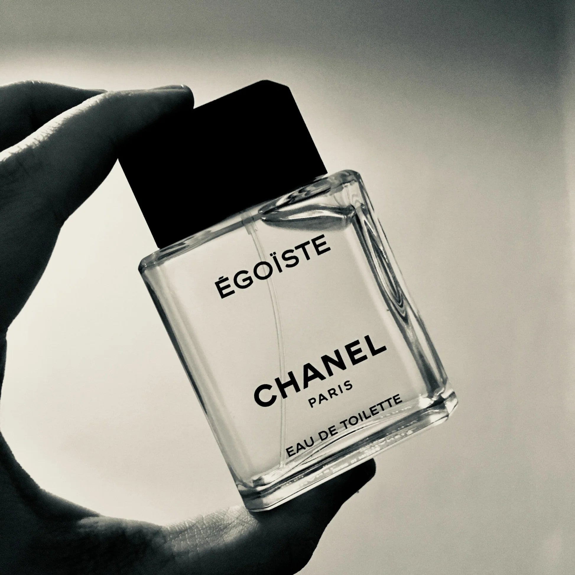 Chanel Egoiste Pour Homme EDT 100ml – Discounted Perfume SA