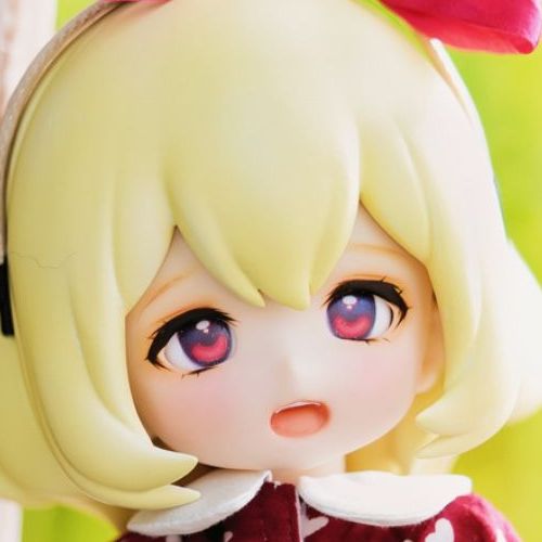 数量限定】蓓蓓 Amber｜DOLK（ドルク）