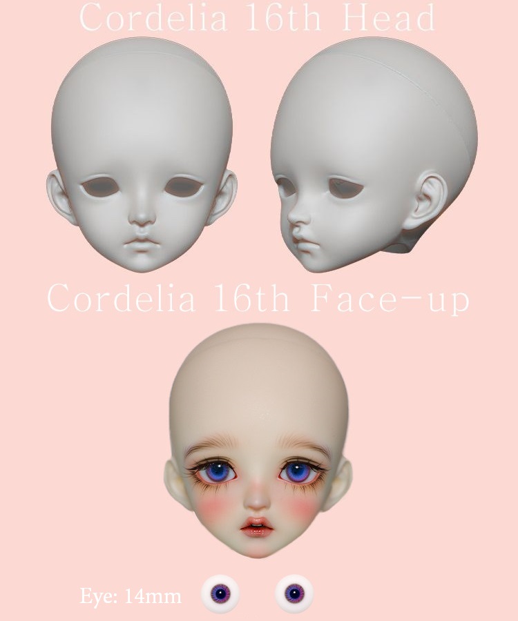 Cordelia｜DOLK（ドルク）