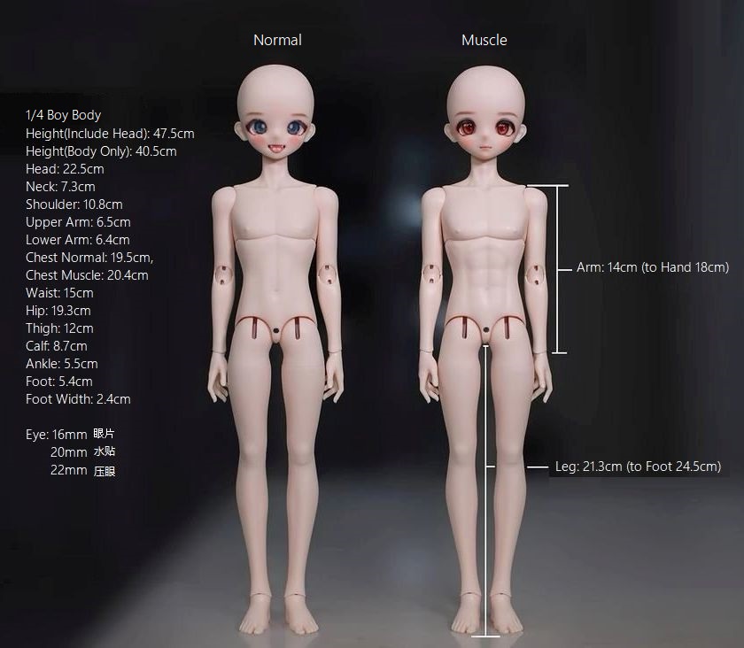 期間限定】1/4 Boy Body｜DOLK（ドルク）