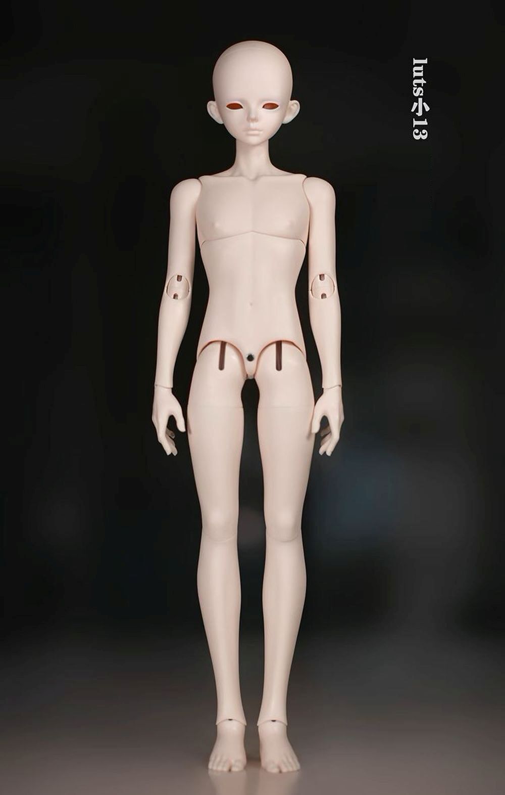 期間限定】1/4 Boy Body｜DOLK（ドルク）