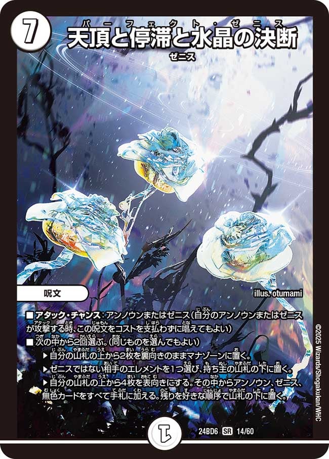 dm24bd6-014.jpg