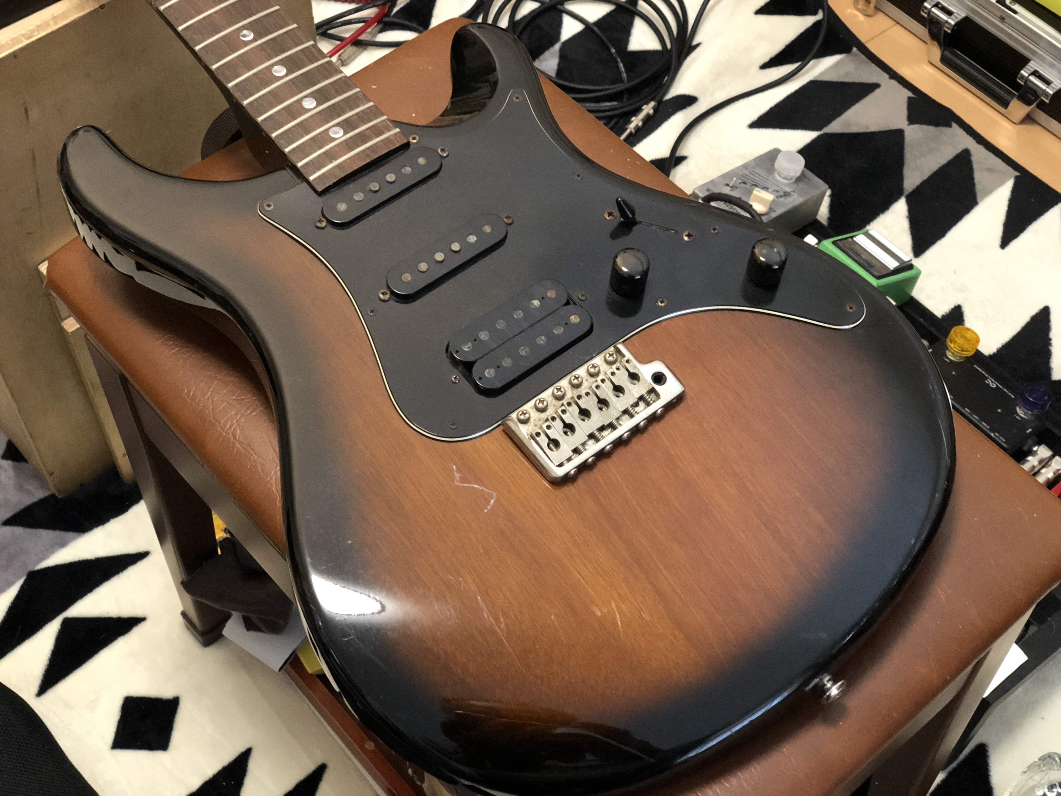 Paul Reed Smith PRS SE EG – scrapbook