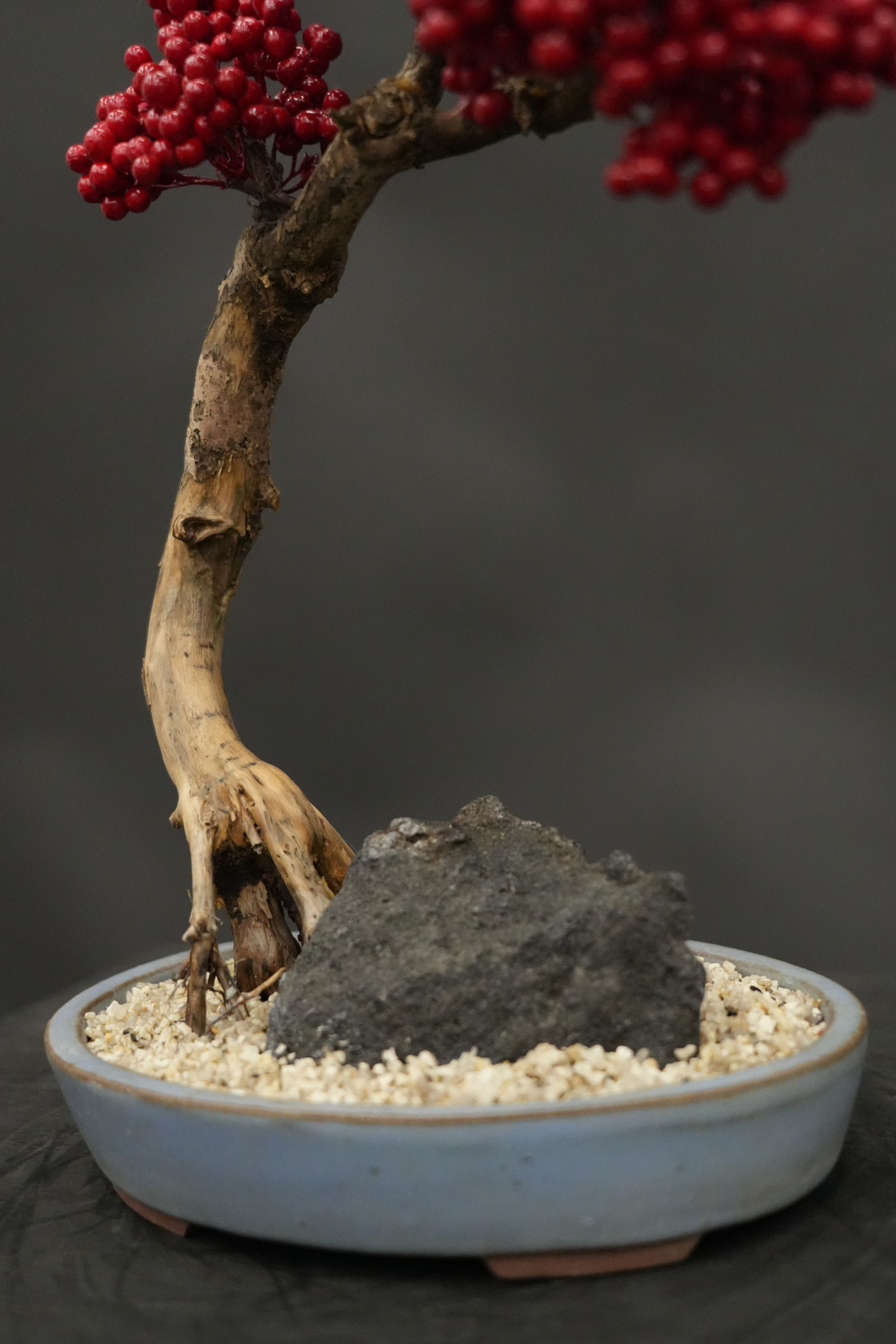 ドライ盆栽®【赤実（たわわ）】 DRY BONSAI® | DRY BONSAI｜ドライ盆栽