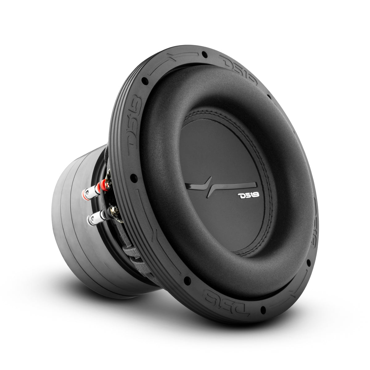 DS18 ZXI10.2D High Excursion 10