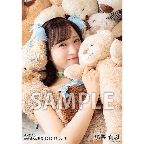 AKB48 2025年11月度 net shop限定個別生写真5枚セットvol.1 | AKB48