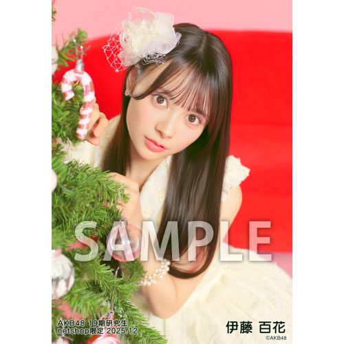 予約商品】AKB48 19期研究生 2025年12月度 net shop限定個別生写真5枚