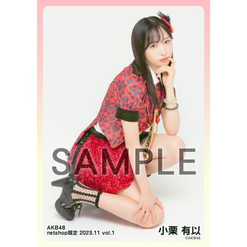 小栗有以 AKB48 2025年11月 netshop限定 生写真 5種コンプ 小栗有以
