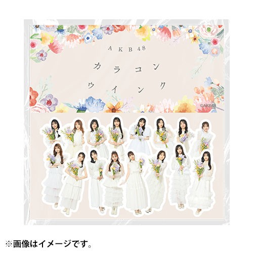 予約商品】AKB48 63rd Single 選抜記念 フレークシール | AKB48